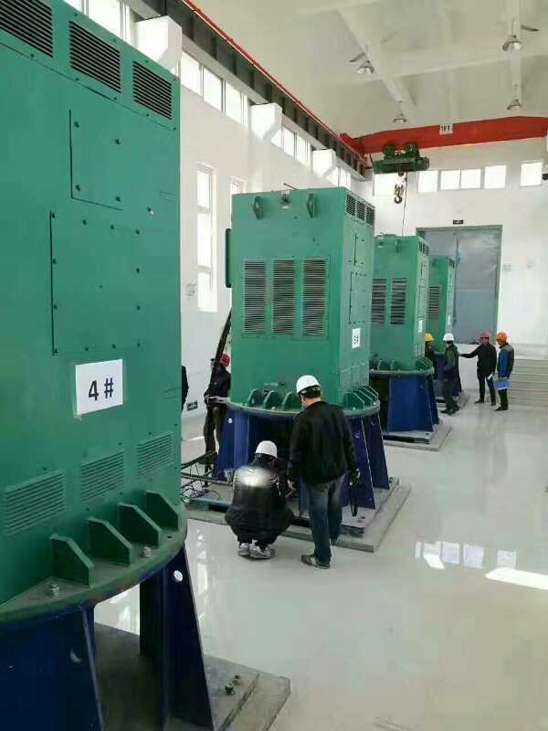 南涧某污水处理厂使用我厂的立式高压电机安装现场